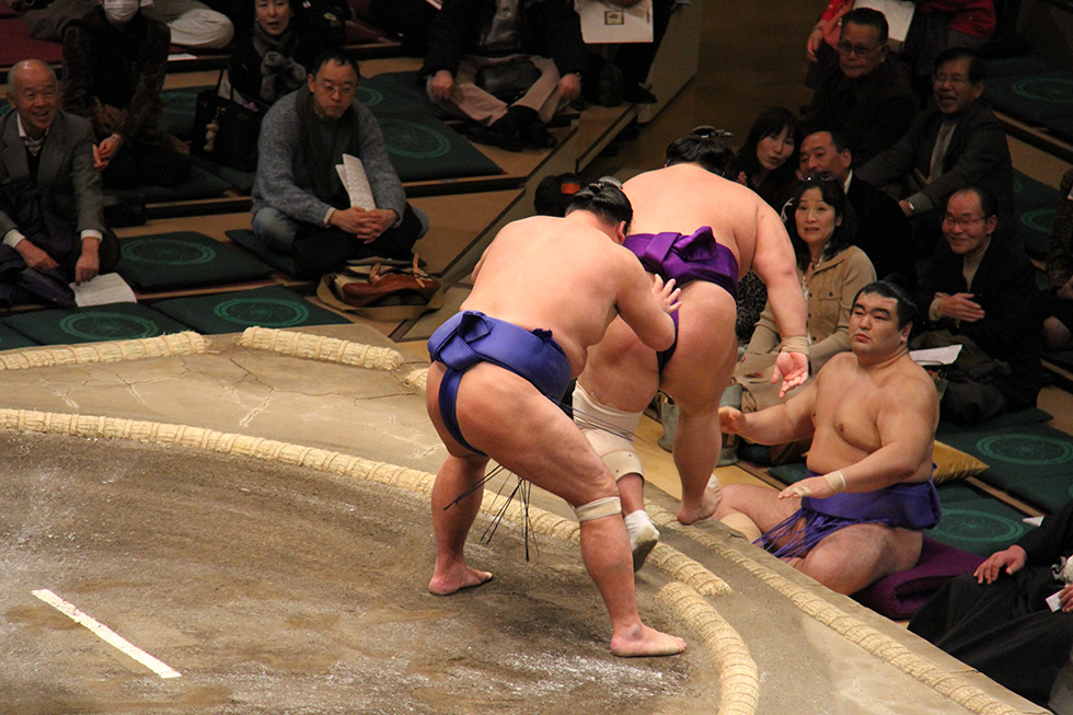 Sumo Wrestler Next To Normal Person