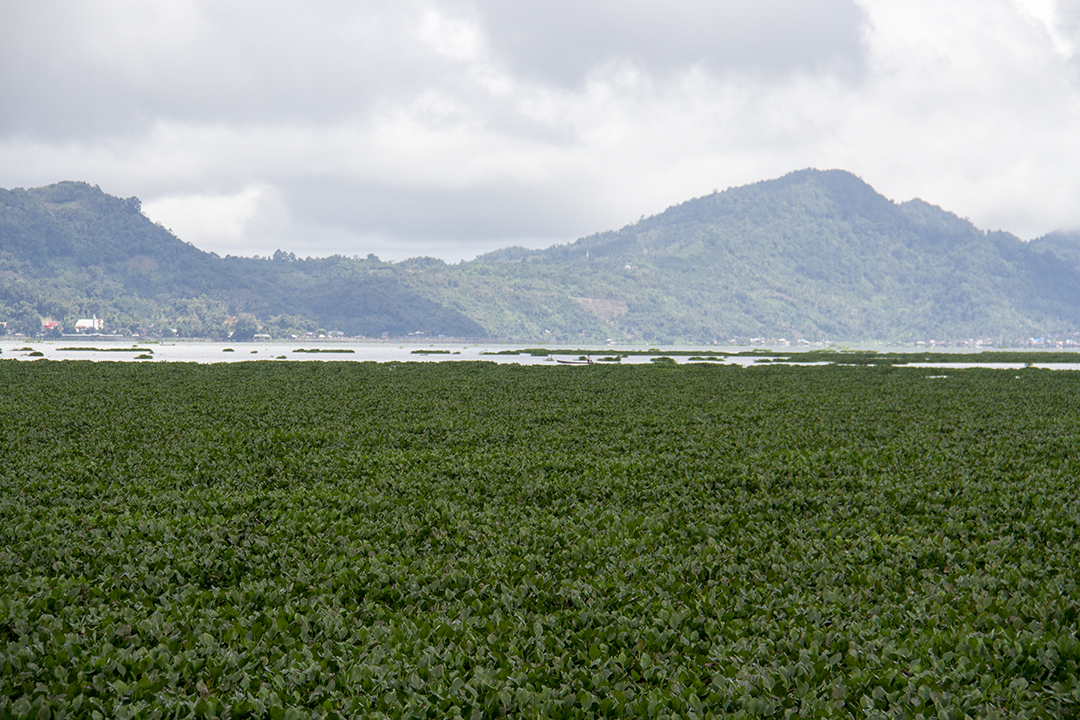 Manado in Northern Sulawesi Indonesia