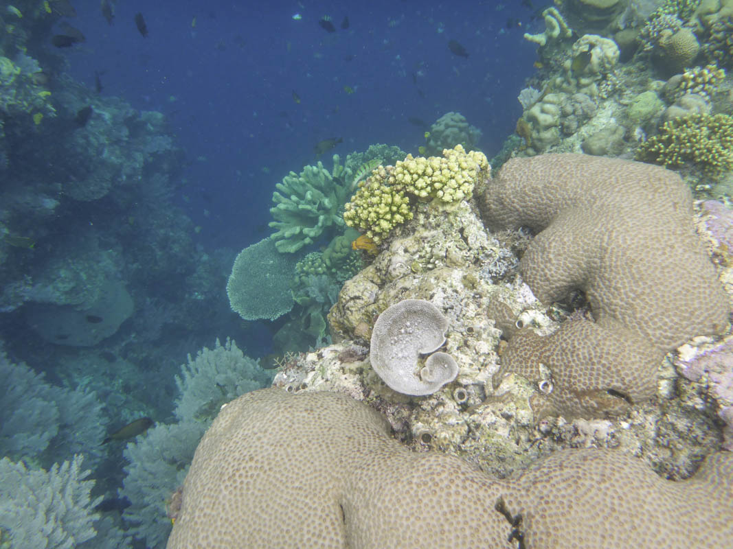 Manado in Northern Sulawesi Indonesia