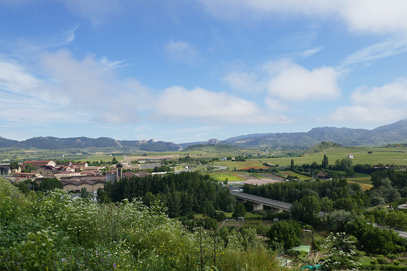 Visiting the Wineries in Haro, Spain